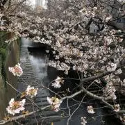 まる☺︎の画像