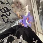 やんちゃ校長