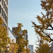 こおりの画像