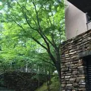 しーの画像