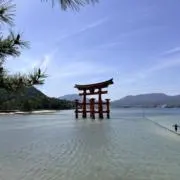 Span【！プロフィール必読！】の画像