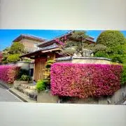 Image of はなこ