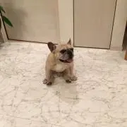 Qさんの画像