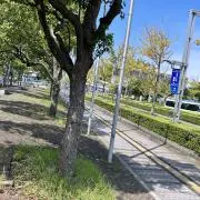 じゅのすの画像