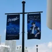 シロの画像