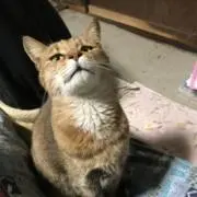 Kouの画像