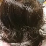 鳳蘭