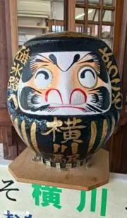 タマルの画像