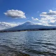 ぐっちっちの画像