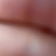 こうしゅん