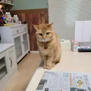 おこちゃんママ♪
