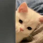 まぁの画像