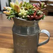 クララの画像
