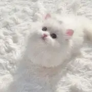☾の画像