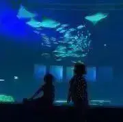 なつこの画像