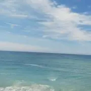 のんの画像