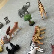 あーるの画像