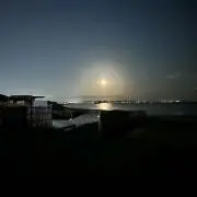 ウミネの画像