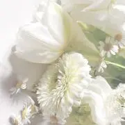 izの画像
