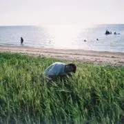 ポーの画像