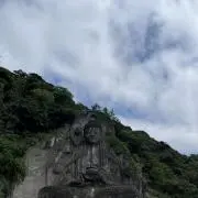 ヌーの画像