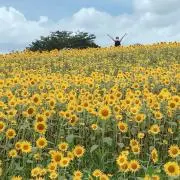 みくの画像