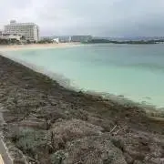 てぃーえむの画像