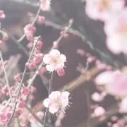 価値ある逸品かっちゃん堂　要プロフ確認の画像