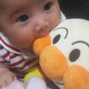 桃にゃんの画像
