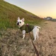 Mi