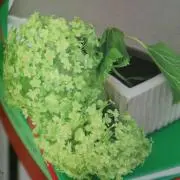 アナベル