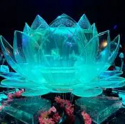 nnnacha