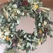 チャチャの画像
