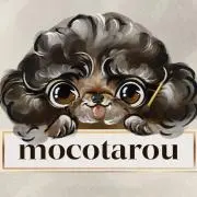 mocotarouの画像