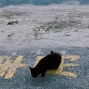なの画像