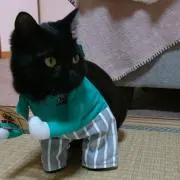 ソラ春の画像