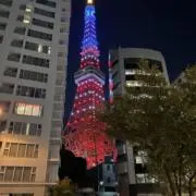 ココア