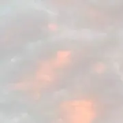 momoの画像