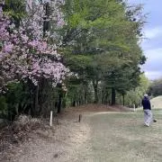 ayの画像
