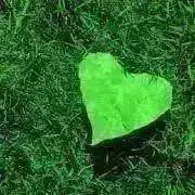 green429（プロフご確認）の画像