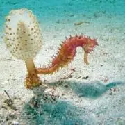 セバスチャンの画像