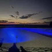 アーの画像