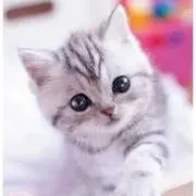 Lotta⭐︎プロフご確認お願いしますの画像