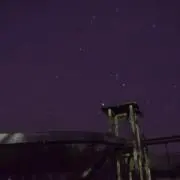 Ryの画像