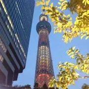 あーまま☆