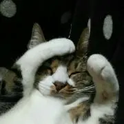 さな