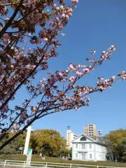 FHKの画像