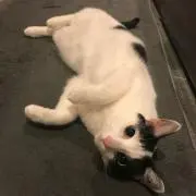 ぽんず