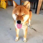 なみ