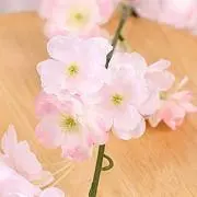 プロフ必読★カミュ